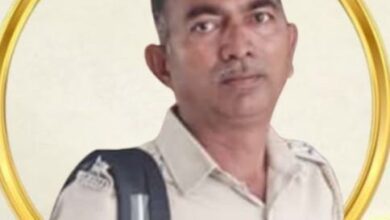 Photo of धाडसी वनपाल विजय सिंगनजुडे यांचे उपचारादरम्यान निधन