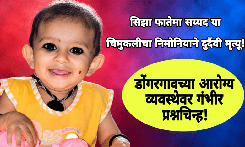 Photo of सिझा फातेमा सय्यद या चिमुकलीचा निमोनियाने दुर्दैवी मृत्यू! डोंगरगावच्या आरोग्य व्यवस्थेवर गंभीर प्रश्नचिन्ह!